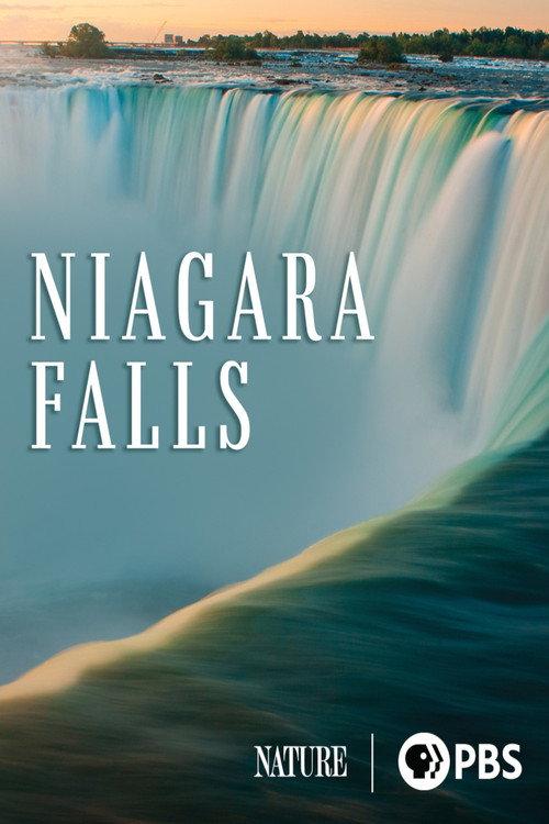 Niagara Falls 2023 official movie poster