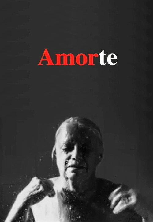 Amorte 1999 official movie poster