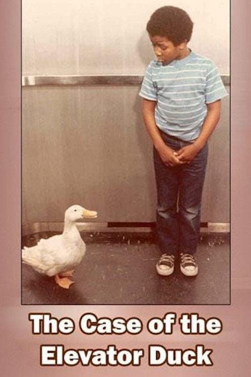 The Case of the Elevator Duck 1974 official movie poster