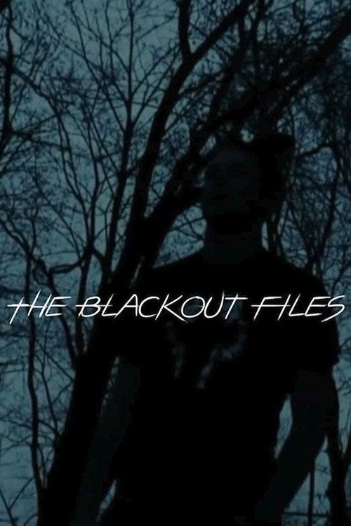 The Blackout Files 2009 official movie poster