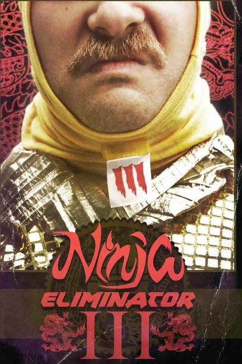 Ninja Eliminator 3: Guardian of the Dragon Medallion 2016 official movie poster