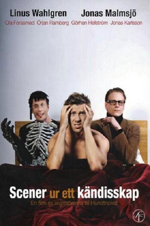Scenes from a Celebrity Life 2009 official movie poster
