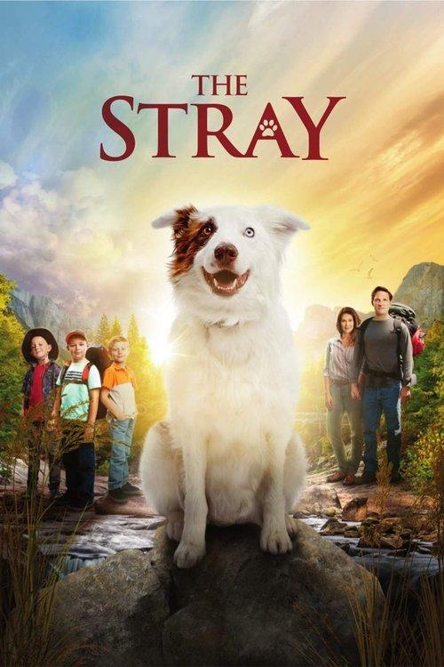 The Stray 2017 official movie poster