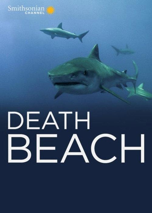 Death Beach 2012 official movie poster