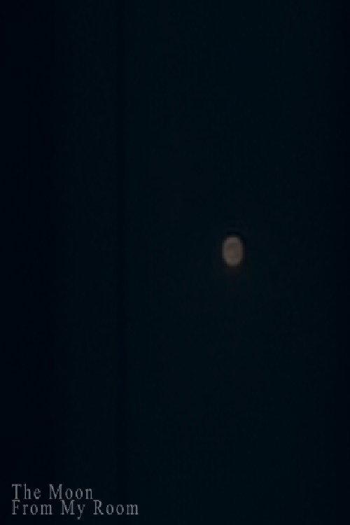 The Moon from My Room 2023 official movie poster