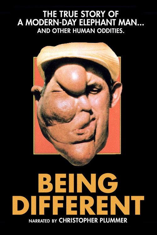 Being Different 1981 official movie poster
