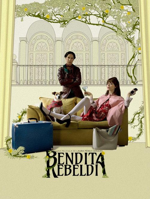 Accidental Blessings 2020 official movie poster