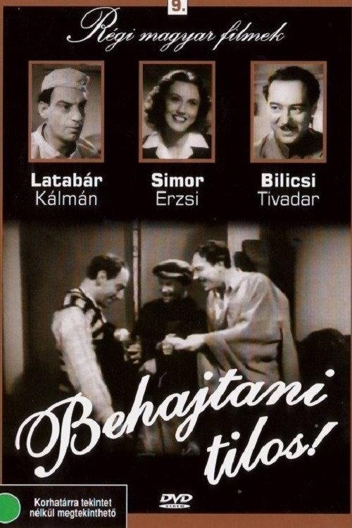 No Entry 1941 official movie poster
