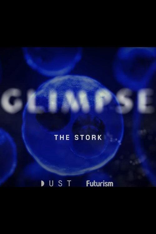 Glimpse Ep 2: The Stork 2018 official movie poster