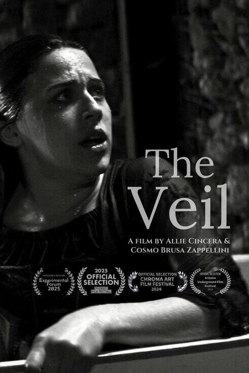 The Veil 2024 official movie poster