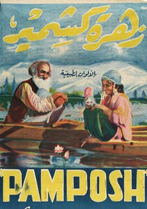 Pamposh 1954 official movie poster