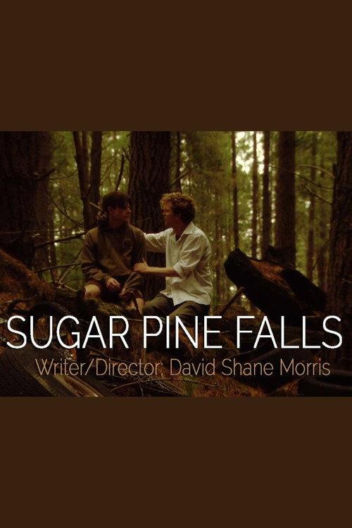 Sugar Pine Falls 2017 official movie poster