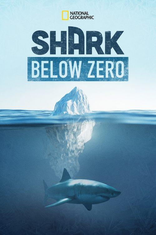 Shark Below Zero 2023 official movie poster