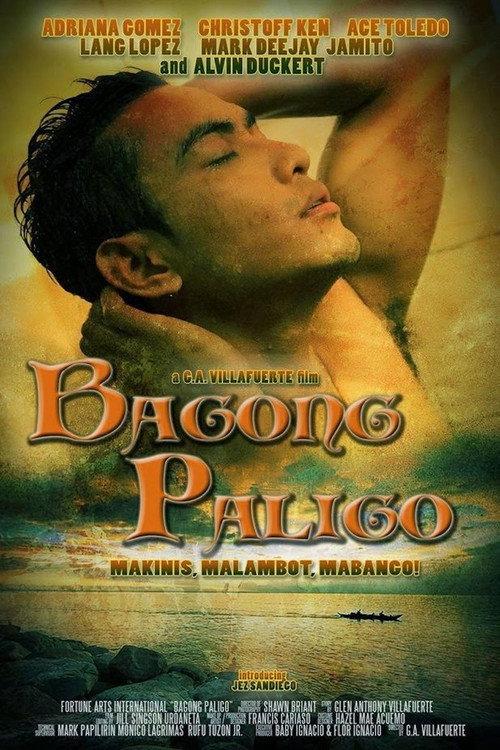 Bagong Paligo 2013 official movie poster