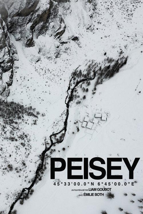 PEISEY 2024 official movie poster