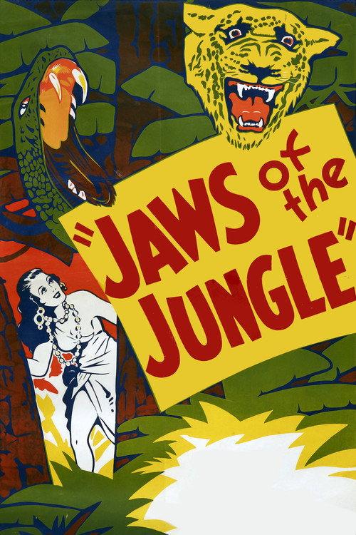 Jaws of the Jungle 1936 official movie poster
