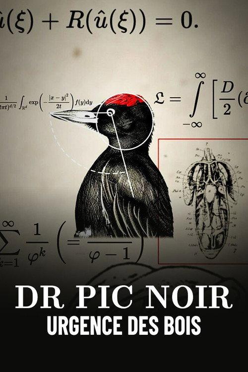 Dr Pic Noir, urgence des bois 2023 official movie poster