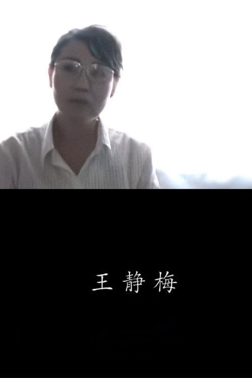 Jingmei Wang 2010 official movie poster