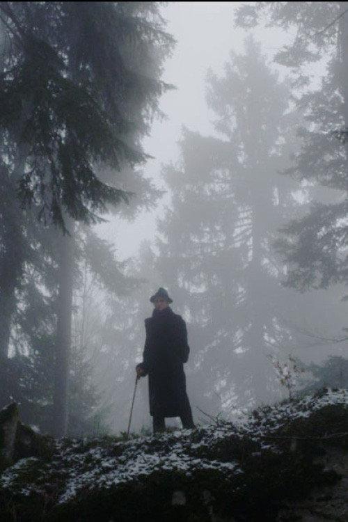 The Raven 2013 official movie poster