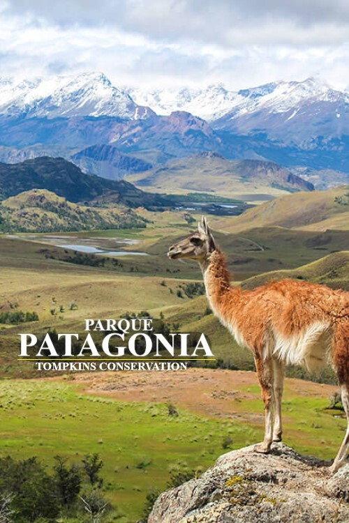 Parque Patagonia 2017 official movie poster