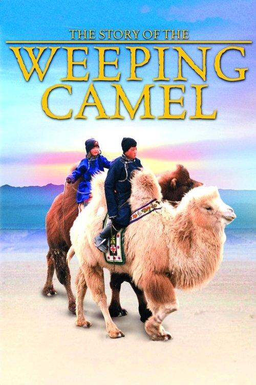 The Story of the Weeping Camel 2004 official movie poster