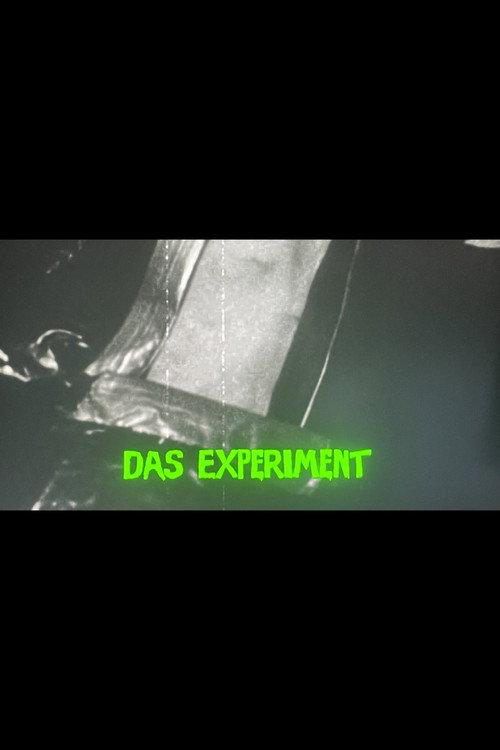 Das Experiment 2011 official movie poster
