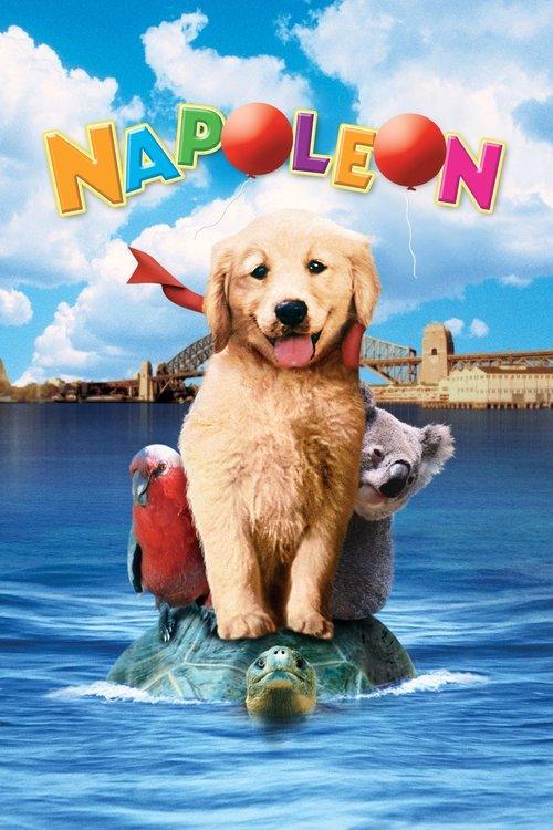 Napoleon 1995 official movie poster