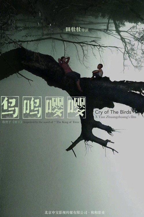 Cry of the Birds official movie poster