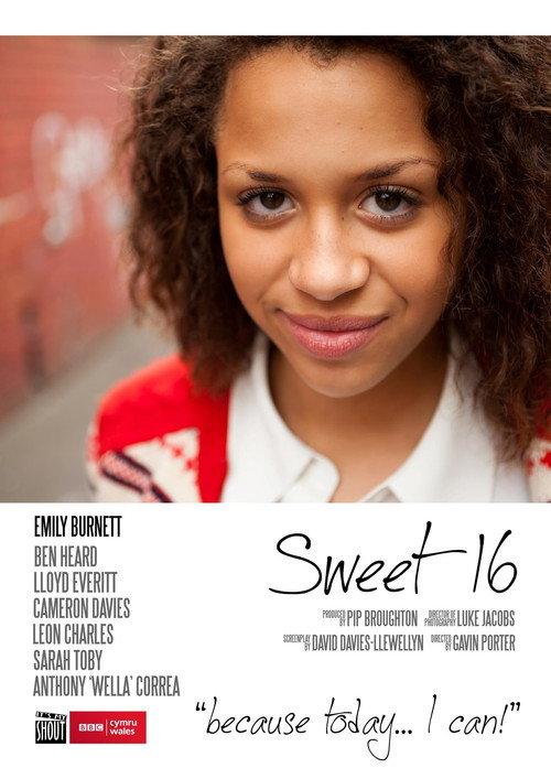Sweet Sixteen 2011 official movie poster