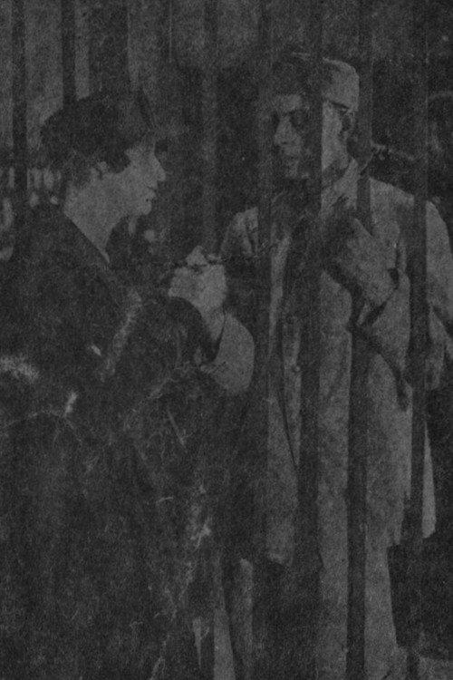 The Backdrop Of Happiness 1918 official movie poster