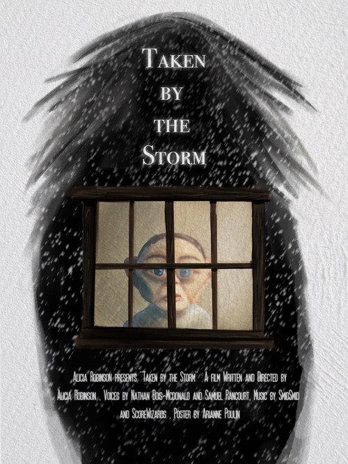 Taken by the Storm official movie poster