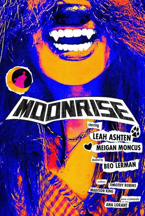 Moonrise 2024 official movie poster