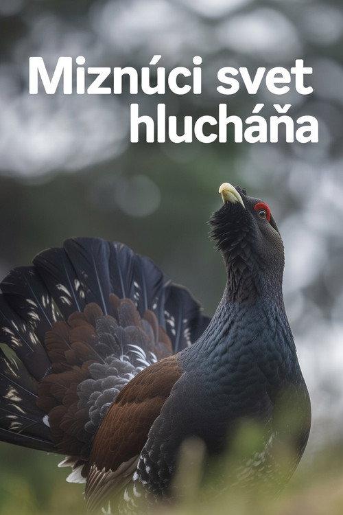 Disappearing World of the Capercaillie 2023 official movie poster