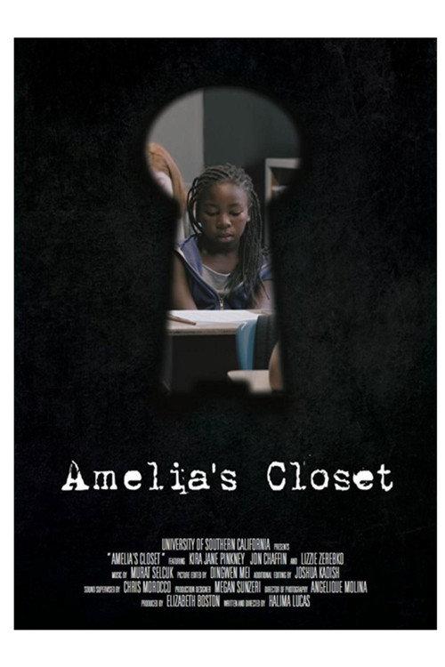 Amelia's Closet 2016 official movie poster