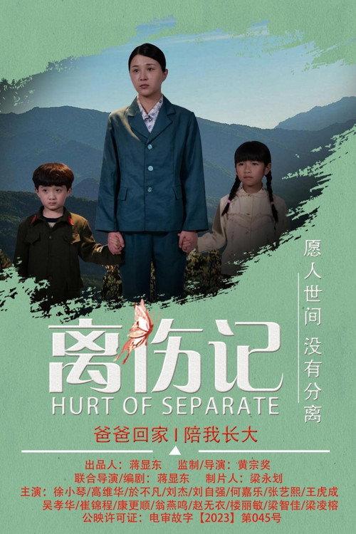 Hurt or Separate 2024 official movie poster