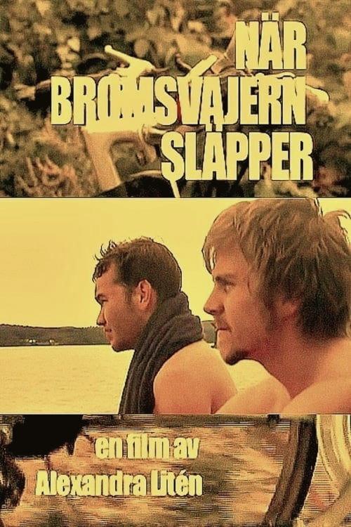 No Brakes 2008 official movie poster