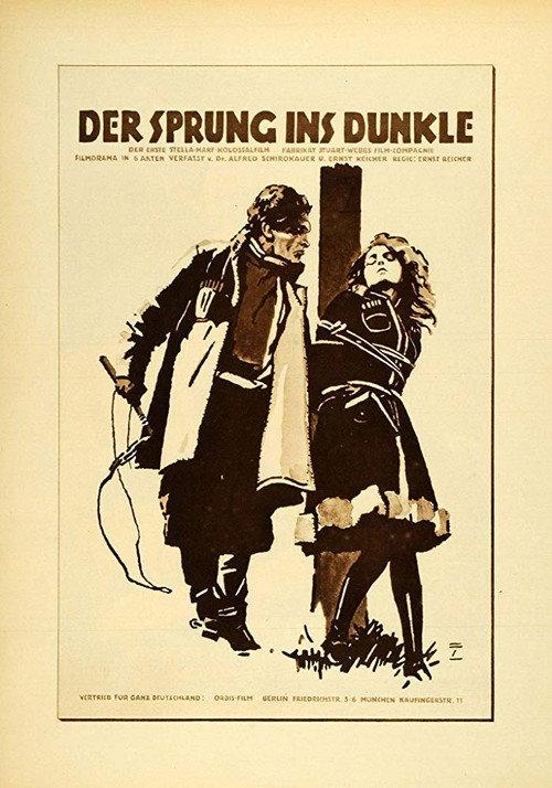 Der Sprung ins Dunkle 1920 official movie poster