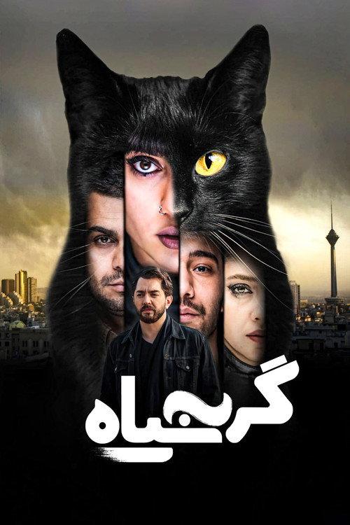 The Black Cat 2021 official movie poster