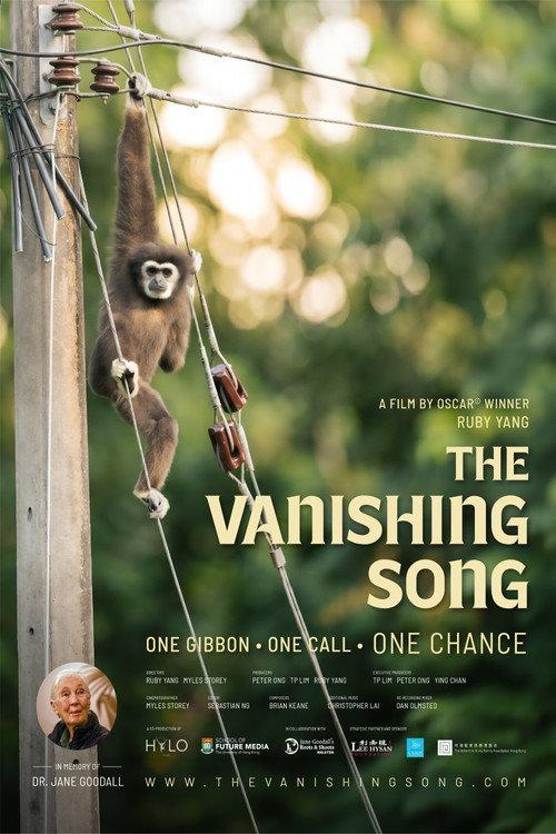 The Vanishing Song 2026 official movie poster