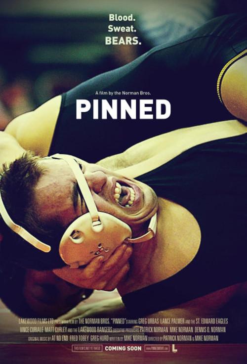 Pinned 2009 official movie poster