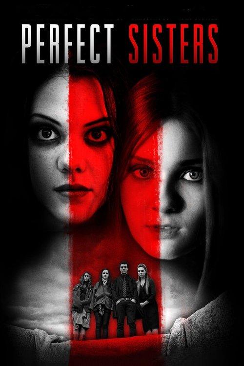 Perfect Sisters 2014 official movie poster