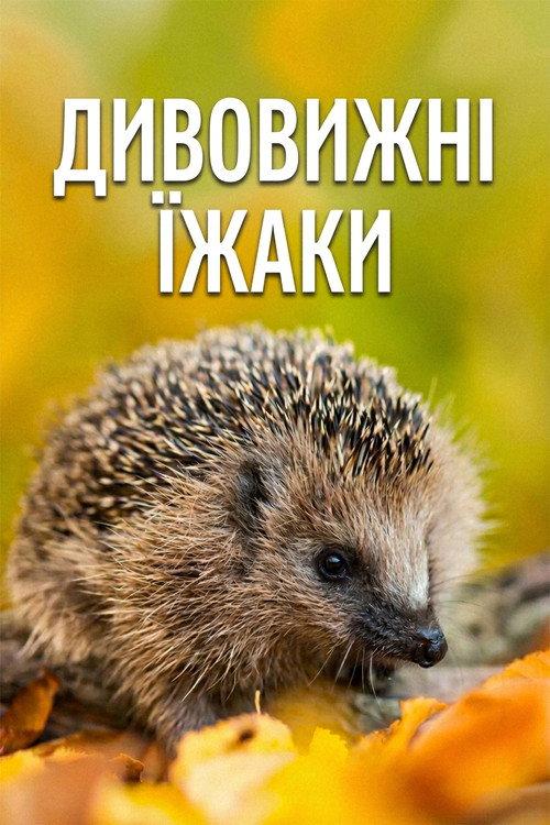 Year of the Hedgehog 2009 official movie poster