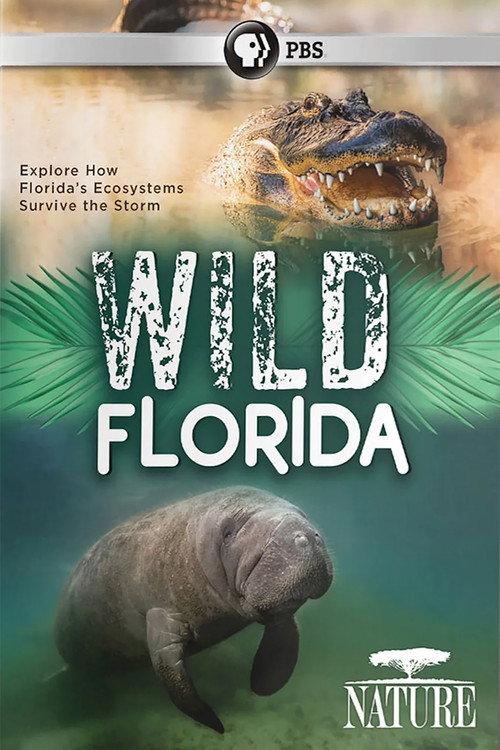 Wild Florida 2020 official movie poster