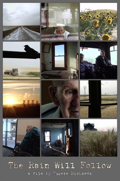 The Rain Will Follow 2016 official movie poster