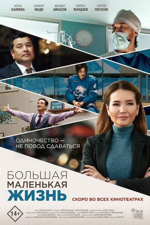 Big Little Life 2020 official movie poster