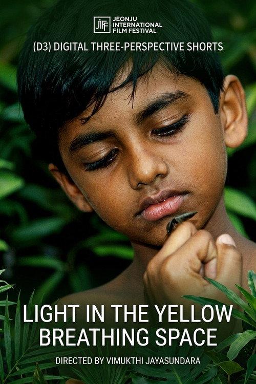 Light in the Yellow Breathing Space 2012 official movie poster
