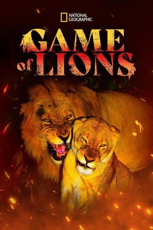Game of Lions 2013 official movie poster
