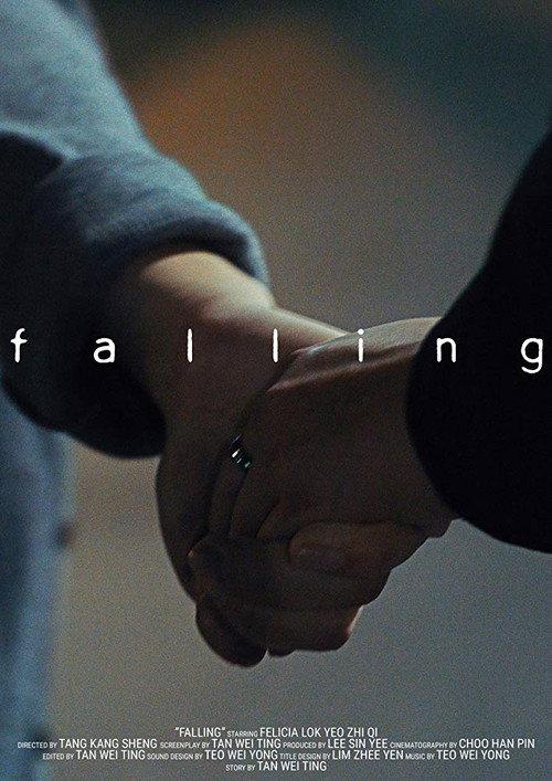 Falling 2016 official movie poster