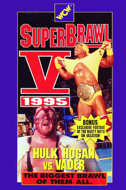 WCW SuperBrawl V 1995 official movie poster