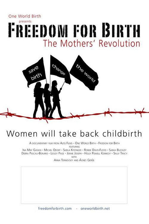 Freedom For Birth 2012 official movie poster